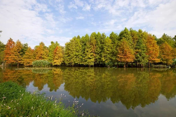 以湖泊为背景的秋季风景 — 图库照片
