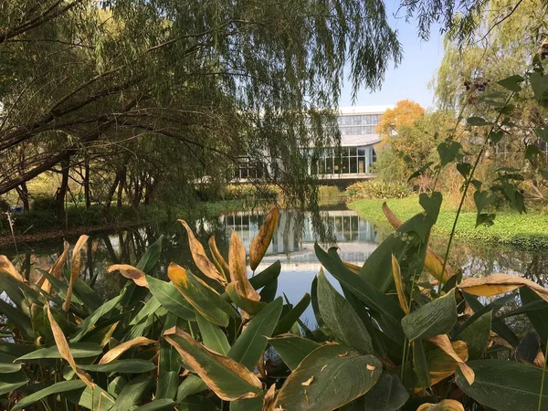 Ciudad Del Parque Jardín — Foto de Stock