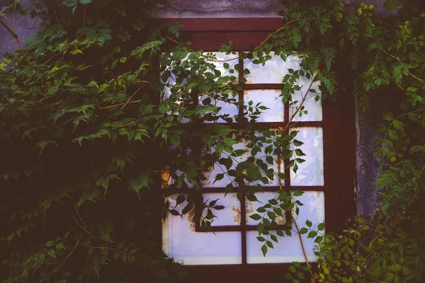 Old Wooden Window Beautiful Blue Sky — Stock Photo, Image