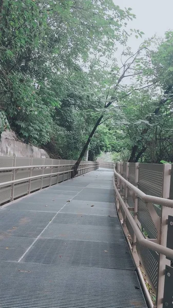 Hermoso Paisaje Con Una Carretera Puente — Foto de Stock