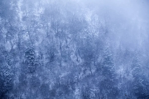 Fundo Abstrato Com Neve — Fotografia de Stock