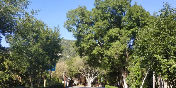 Parque Ciudad Del Estado Capital Ciudad Más Grande Provincia — Foto de Stock