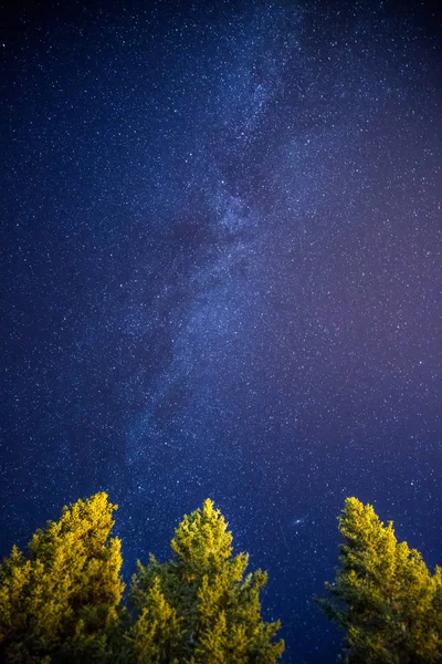 Galaxia Vía Láctea Cielo Nocturno Estrellas — Foto de Stock