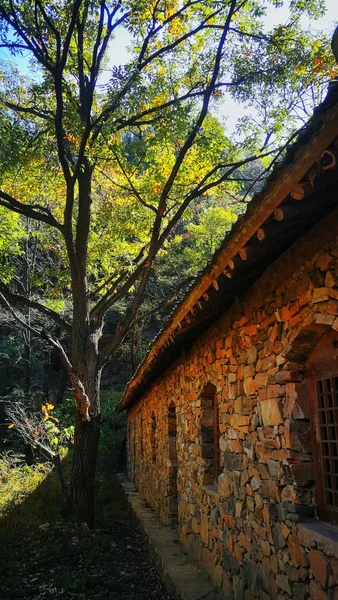 Antigua Casa Madera Parque — Foto de Stock