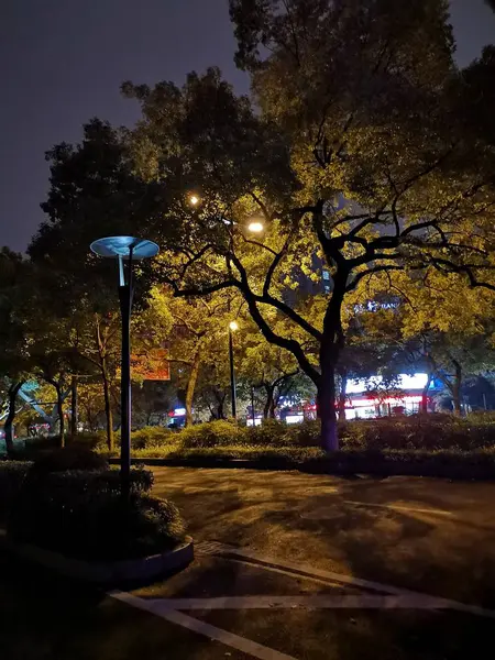 Vista Nocturna Del Parque Ciudad Por Noche — Foto de Stock