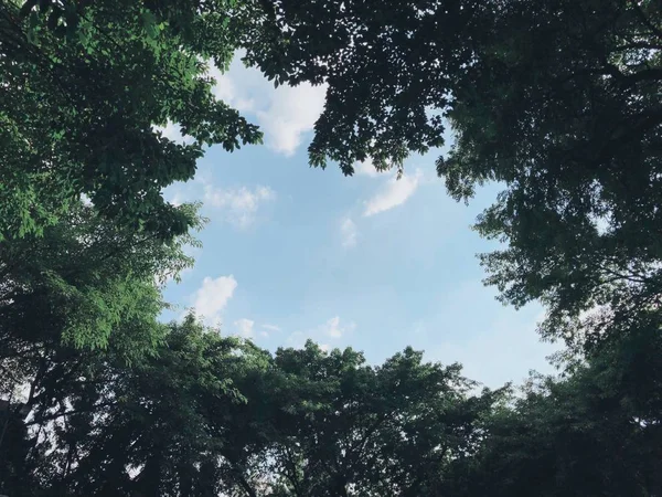 Hermosa Vista Del Parque Ciudad — Foto de Stock