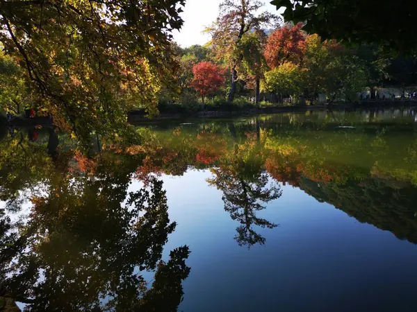 Hermoso Paisaje Otoñal Con Árboles Reflejos — Foto de Stock