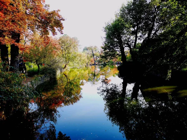 公園の美しい風景 — ストック写真