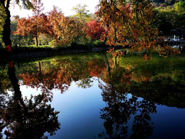 Hermoso Paisaje Otoñal Con Árboles Hojas — Foto de Stock