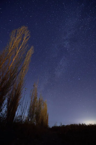 Cielo Nocturno Con Estrellas Astronomía — Foto de Stock