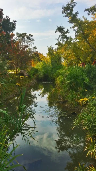 Hermoso Paisaje Con Río Parque — Foto de Stock