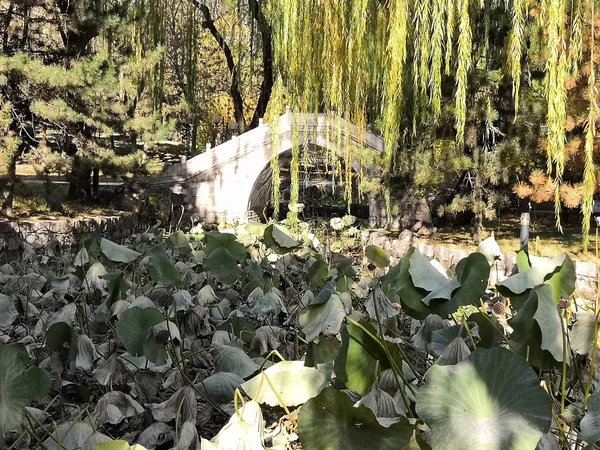 Ciudad Del Cementerio Más Contaminado Del Parque — Foto de Stock