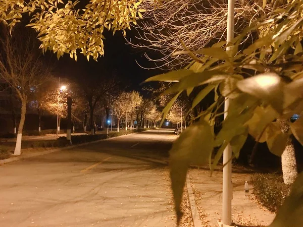 Vista Nocturna Del Parque Ciudad Por Noche — Foto de Stock