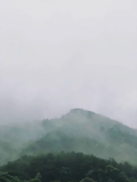 Nevoeiro Manhã Cedo Nas Montanhas Paisagem Natureza — Fotografia de Stock