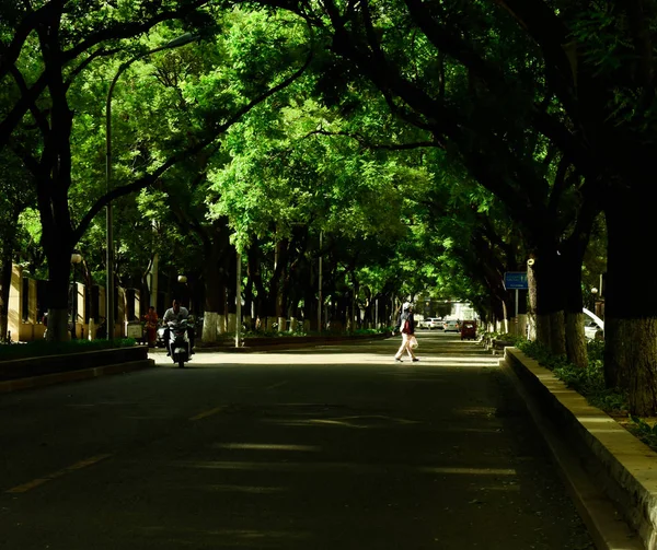 Sendero Parque — Foto de Stock