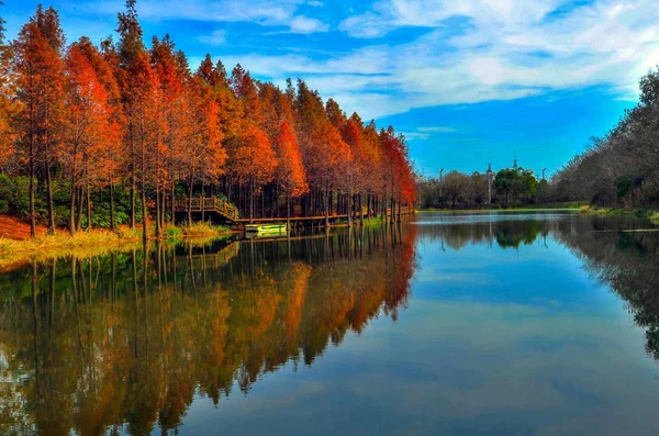 Осенний Пейзаж Озером Осенью — стоковое фото