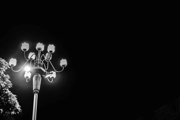 stock image light bulb on black background