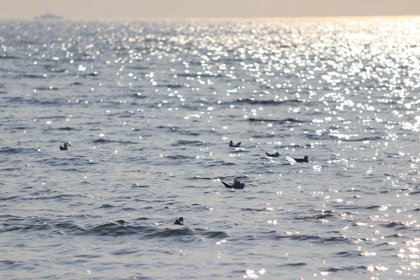 Superficie Del Agua Mar Con Olas — Foto de Stock