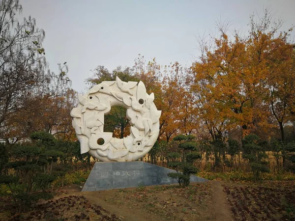 Escultura Una Hermosa Estatua Blanca Caballo Parque — Foto de Stock