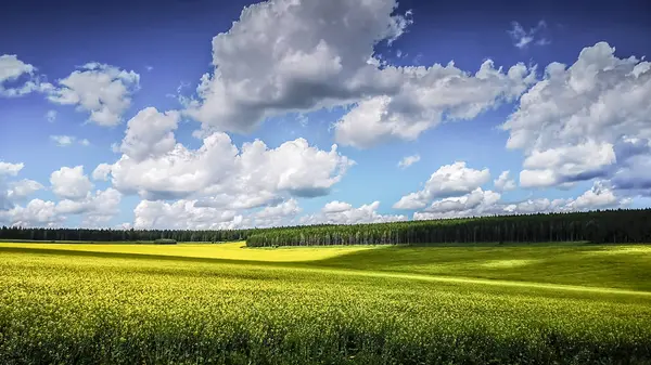 Beautiful Landscape Field Blue Sky — Stock Photo, Image