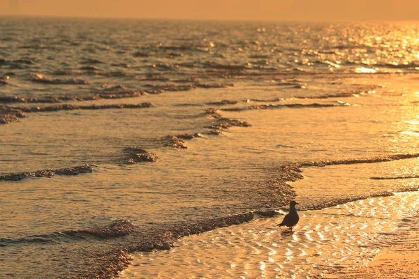 Hermoso Atardecer Playa — Foto de Stock