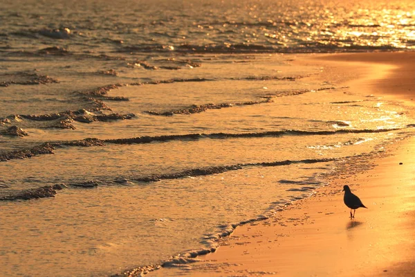 Hermoso Atardecer Playa — Foto de Stock