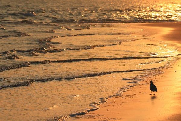 Una Hermosa Puesta Sol Playa — Foto de Stock
