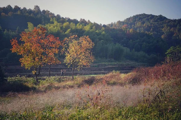 picturesque view of outdoor scene