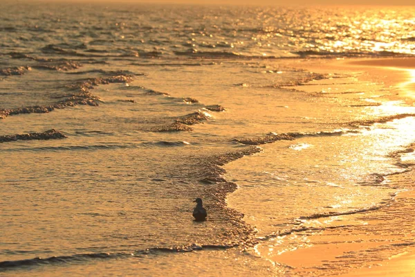 Hermoso Atardecer Playa — Foto de Stock