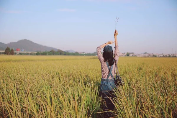 Young Woman Taking Photo Wheat Field — Stock Photo, Image