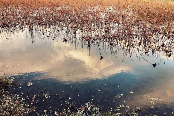 Lago Congelado Por Mañana — Foto de Stock