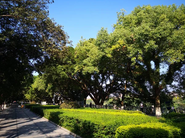 Hermoso Parque Ciudad — Foto de Stock