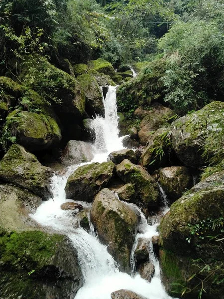 Cascada Caudal Del Río Naturaleza Flora — Foto de Stock