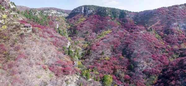 beautiful landscape of the valley of the city of the caucasus