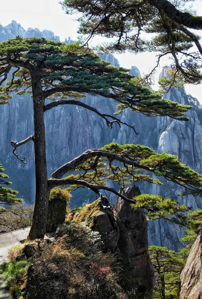 beautiful landscape with a waterfall in the mountains