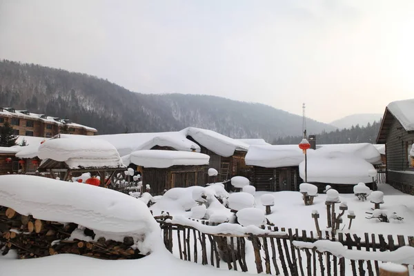 Paisaje Invernal Con Árboles Cubiertos Nieve — Foto de Stock