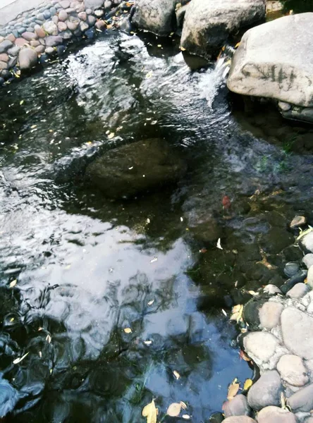 Cascada Bosque Naturaleza Flora Con Flujo Agua — Foto de Stock