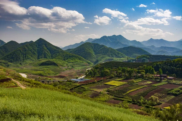 Campos Arroz Vietnam — Foto de Stock