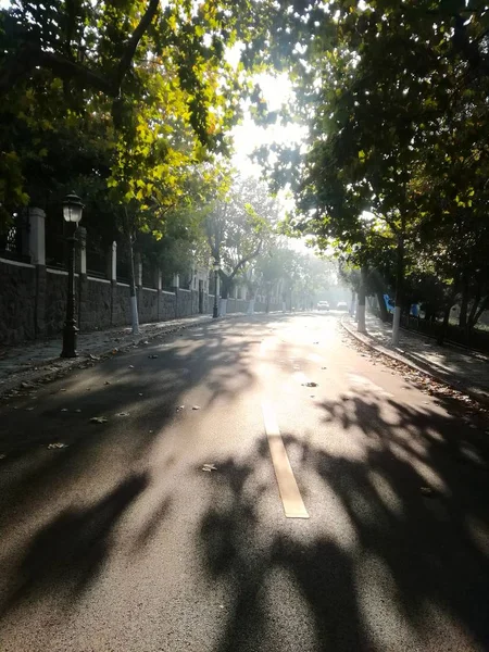 stock image road in the park