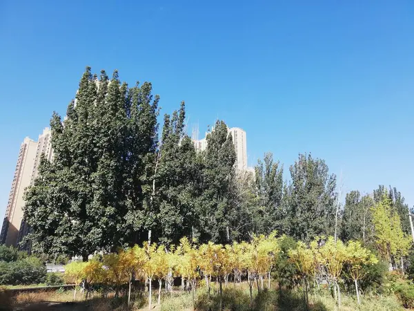 Vista Las Montañas Norte Israel — Foto de Stock