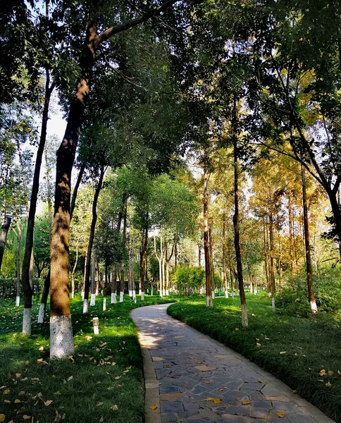 Hermoso Parque Ciudad — Foto de Stock