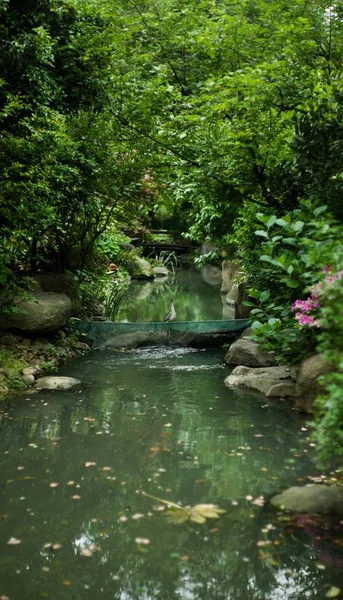 Hermosa Cascada Bosque — Foto de Stock