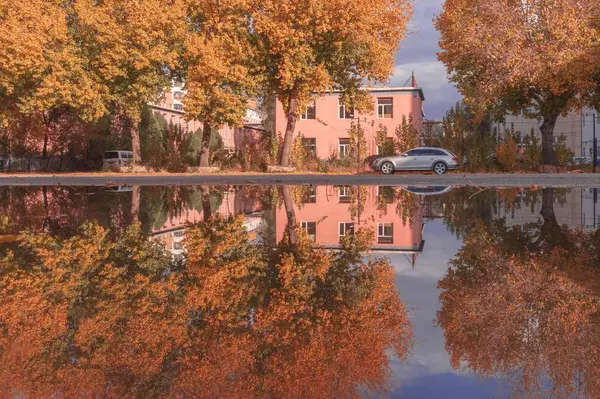 Paisaje Otoño Con Estanque Árbol — Foto de Stock