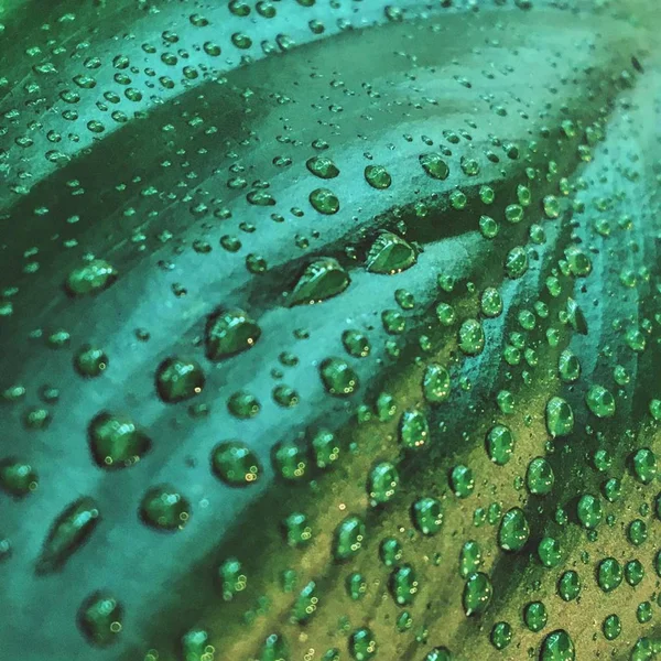 Abstract Background Water Drops — Stock Photo, Image