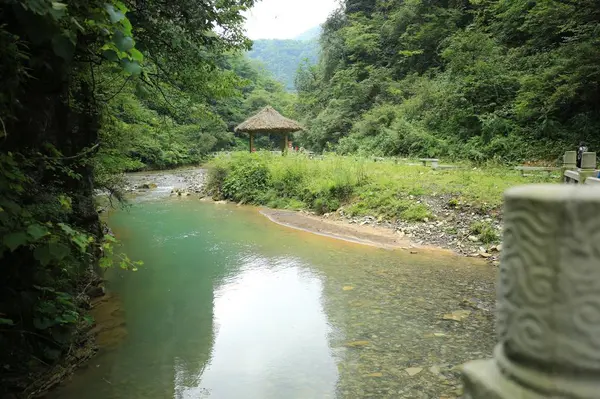 Hermoso Paisaje Con Río Árboles Verdes — Foto de Stock