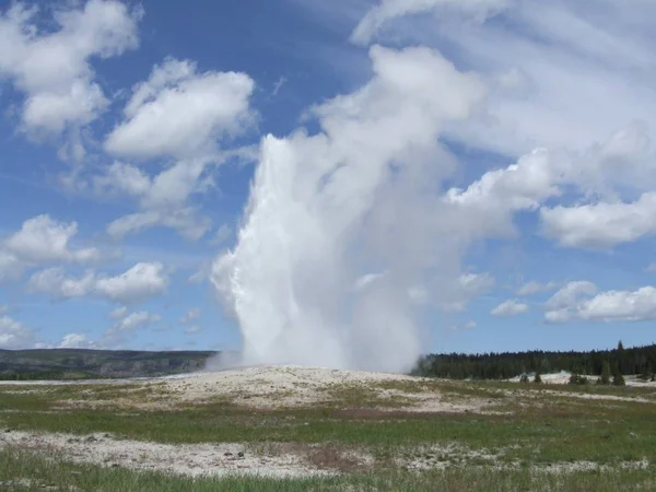 Parque Nacional Yellowstone Una Fuente Honesta — Foto de Stock