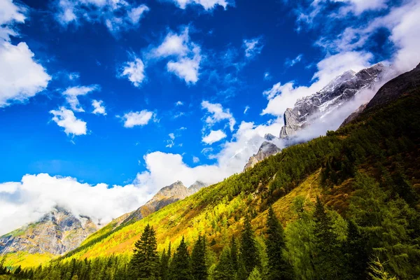 Красивый Пейзаж Кавказских Гор — стоковое фото
