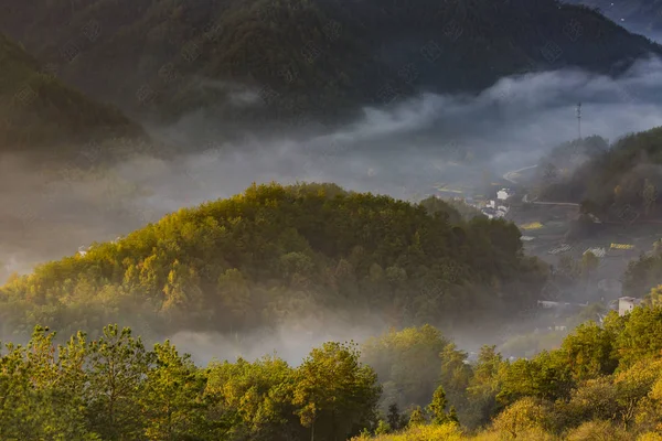 Hermoso Paisaje Las Montañas Los Carpatos — Foto de Stock