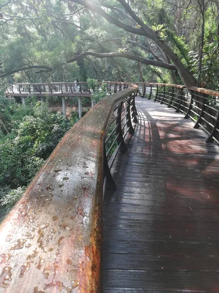 Puente Madera Parque — Foto de Stock