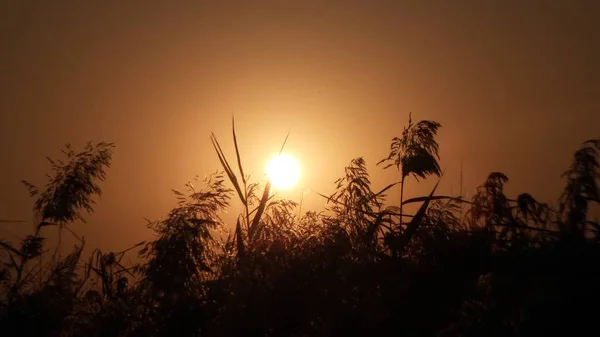 Hermoso Atardecer Desierto — Foto de Stock